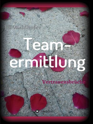 cover image of Teamermittlung